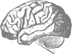 Icon Gehirn