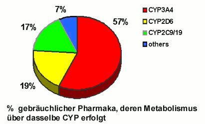 Metabolisierung von Pharmazeutika