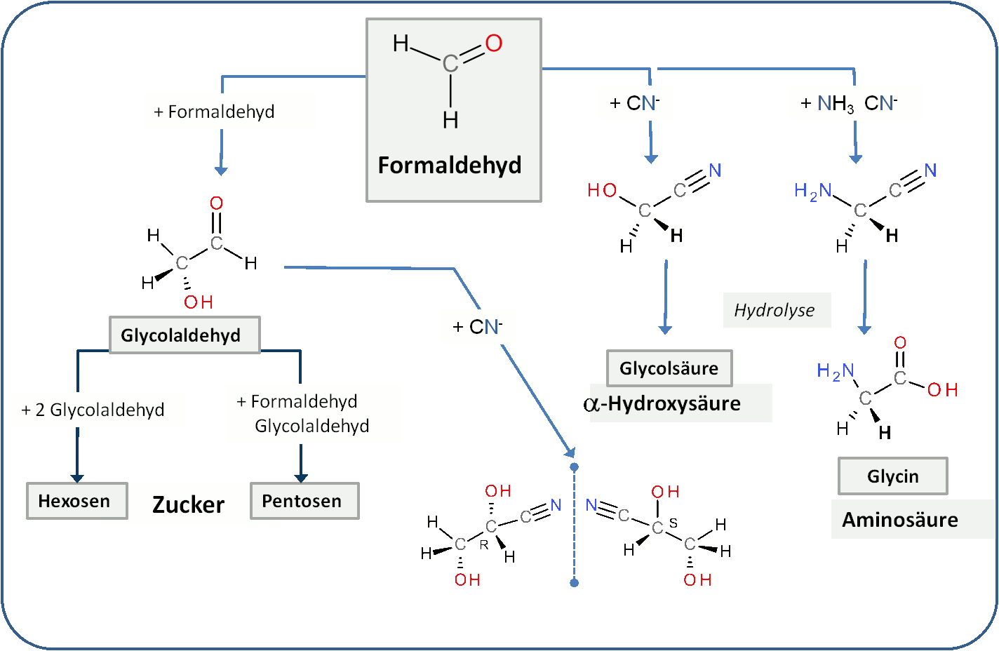 Formaldehyd in der präbiotischen Evolution