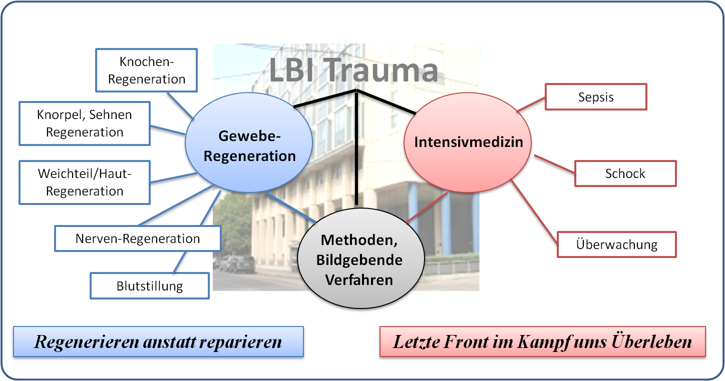 Forschungsbereiche und Projekte des LBI Trauma