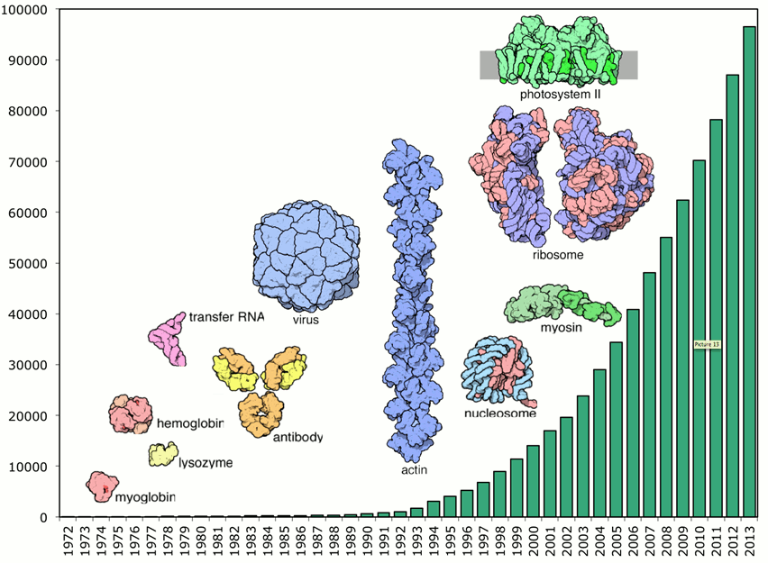 Röntgenstrukturanalysen von Proteinen und Proteinkomplexen