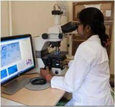Mikroskopieraum in einem auf Tuberkulose und Atemwegskrankheiten spezialisierten Krankenhaus in Neu-Delhi
