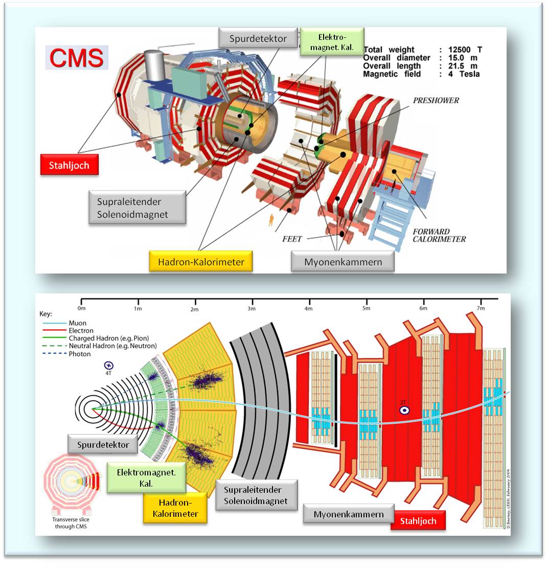 Schema des CMS-Detektors
