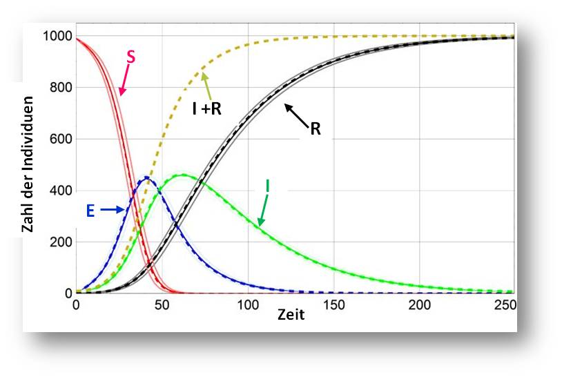 Nach dem SEIR-Modell berechnete Kurven für den Verlauf einer Epidemie