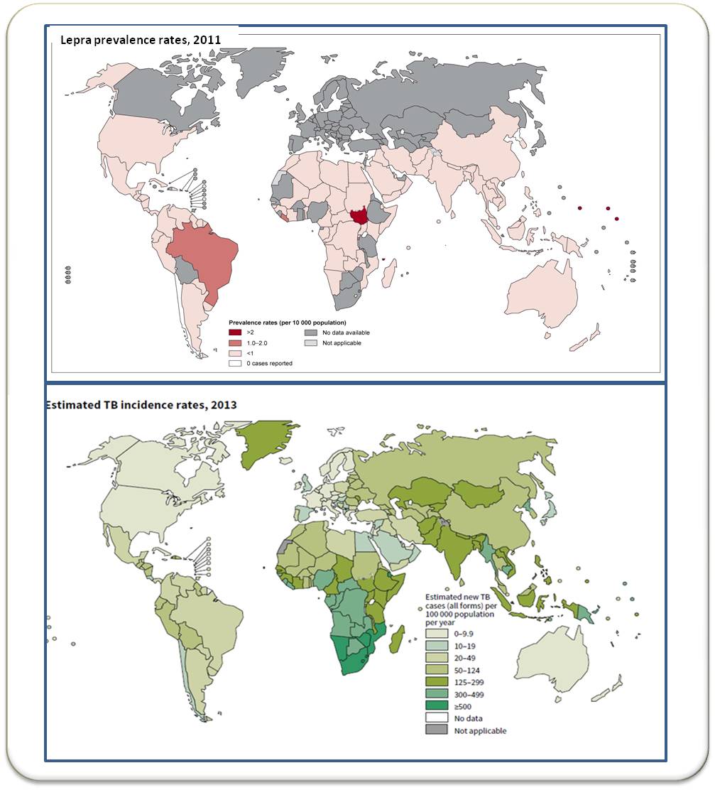  Aktuelle globale Verbreitung von Lepra (oben) und Tuberkulose (unten)