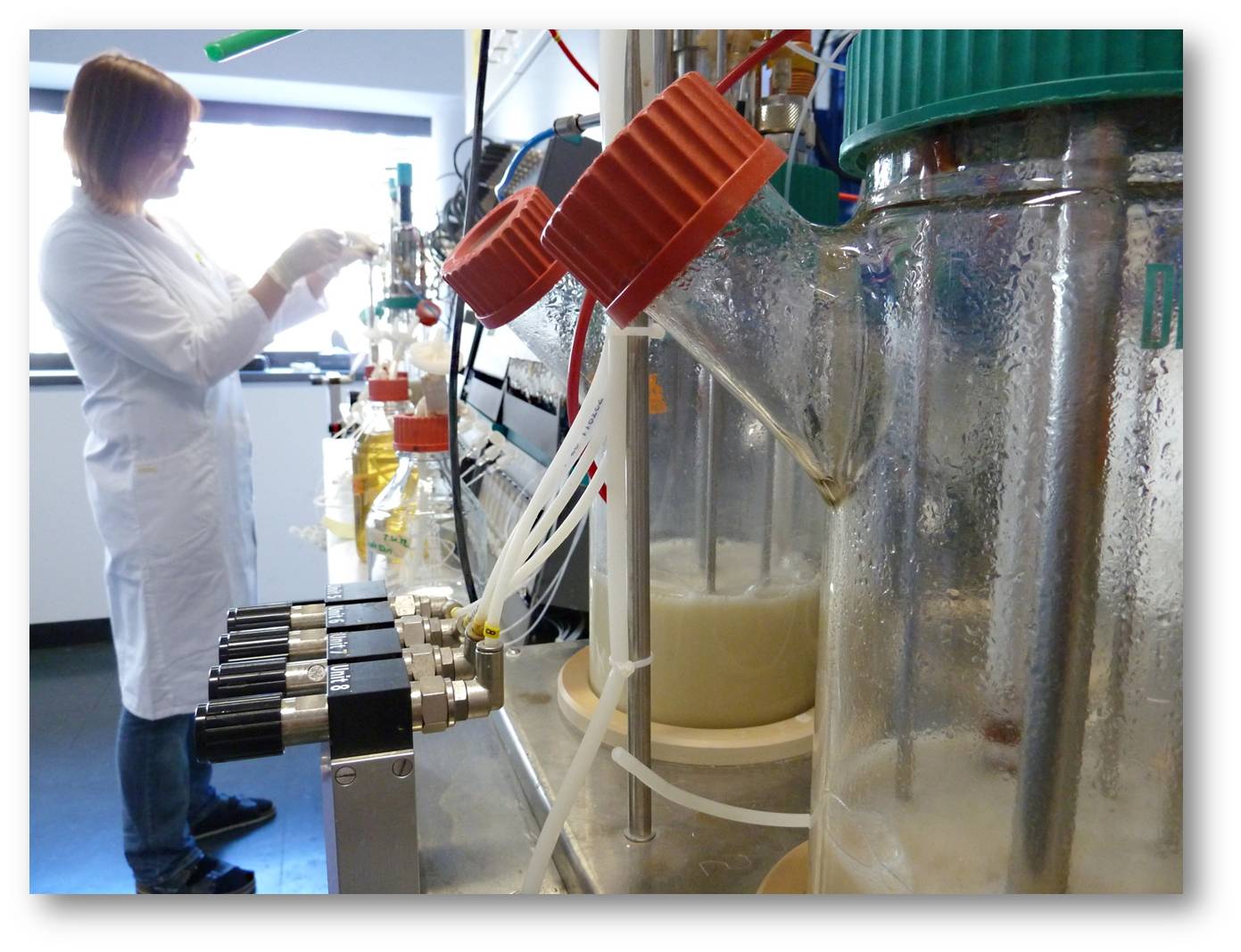 Bioreaktoren im Labormaßstab