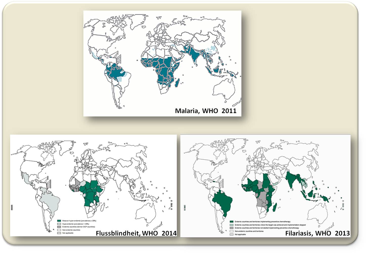 Risikogebiete für Malaria, Flussblindheit (Onchocerciasis) und Elephantiasis (lymphatische Filariasis)